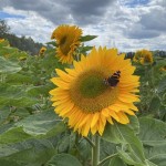 Photo of the Day - 3rd September 2020