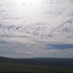 Photo of the Day - 10th September 2020
