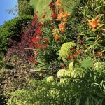 Photo of the Day - 15th September 2020