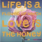 Quote of the Day - “Life is a flower of which love is the honey.” — Victor Hugo