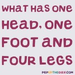 Riddle: What has one head, one foot, and four legs?