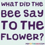Riddle: What did the bee say to the flower?