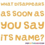 Riddle: What disappears as soon as you say its name?