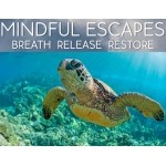 WELL WORTH A WATCH - Mindful Escapes: Guided mindfulness and stunning natural history footage go hand in hand to produce a series of immersive, relaxing films