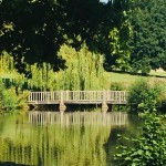 Photo of the Day - 23rd September 2020