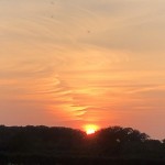 Photo of the Day - 24th September 2020