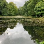 Photo of the Day - 26th September 2020